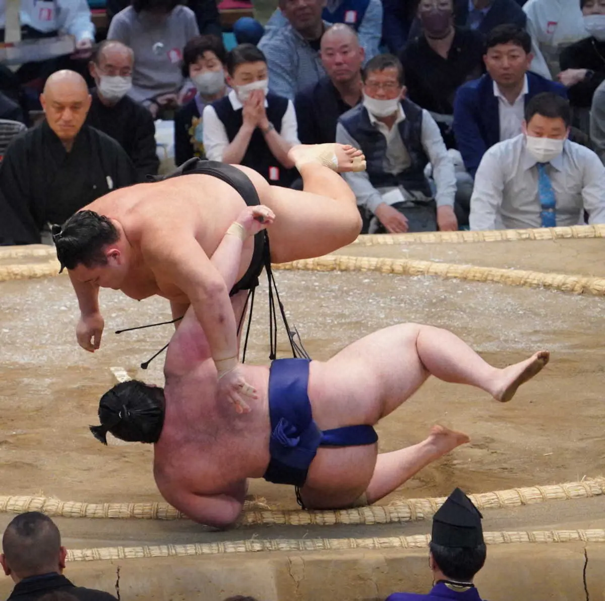 【画像・写真】朝乃山　魔の11日目を突破し10勝目　豪ノ山を上手投げで下す　逸ノ城と1敗で十両優勝争いのトップ堅持