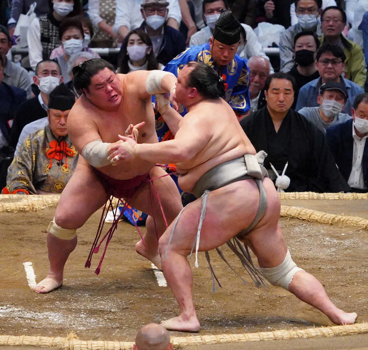 【画像・写真】【玉ノ井親方　視点】大栄翔　若乃花さんのように踵が浮くタイプだが、腰が下りていれば問題ない