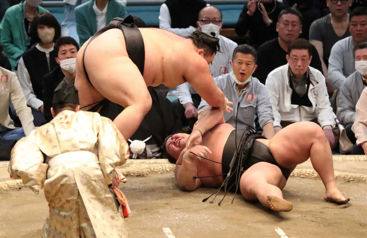 【画像・写真】“令和の怪物”落合が朝乃山に惜敗も館内沸かせた！「もっと強くなりたい」初めての15日間を終え決意新た