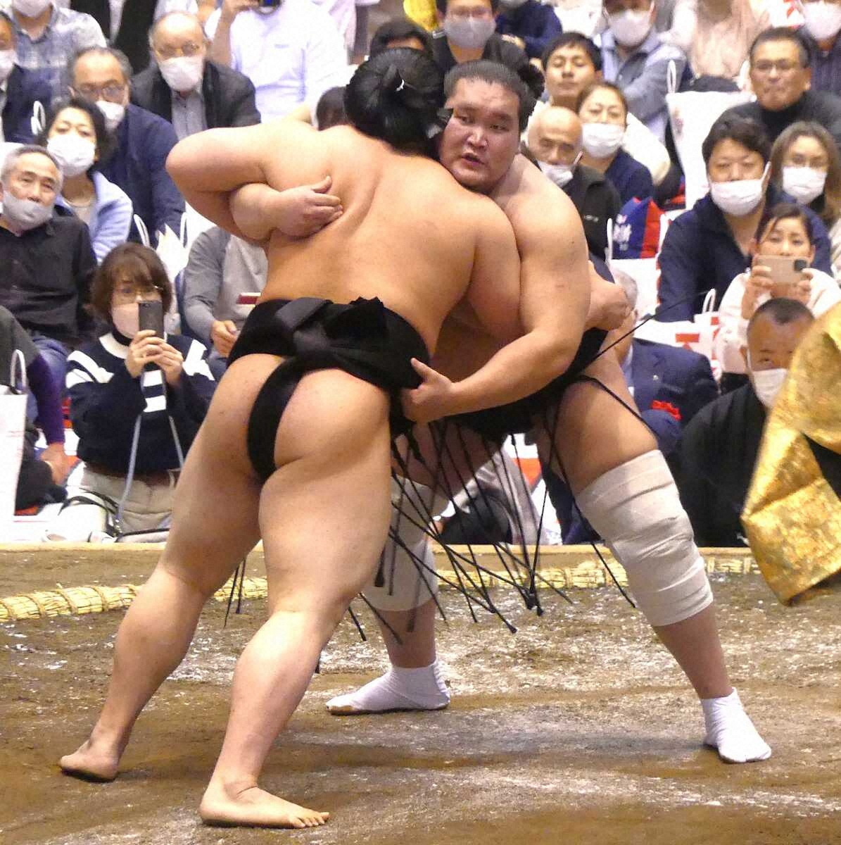 大相撲藤沢場所 4月13日 Sマス席(4人) 臨める 正