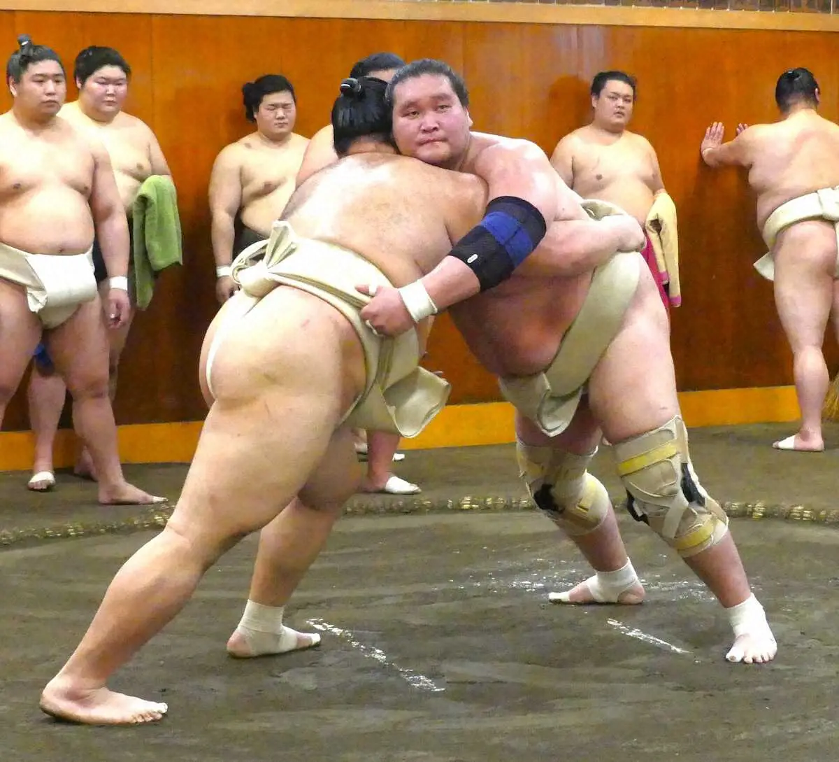 【画像・写真】照ノ富士が元大関の正代＆朝乃山と連続で11番「悪くない」踏み込み鋭く好感触　両膝手術後初の出稽古