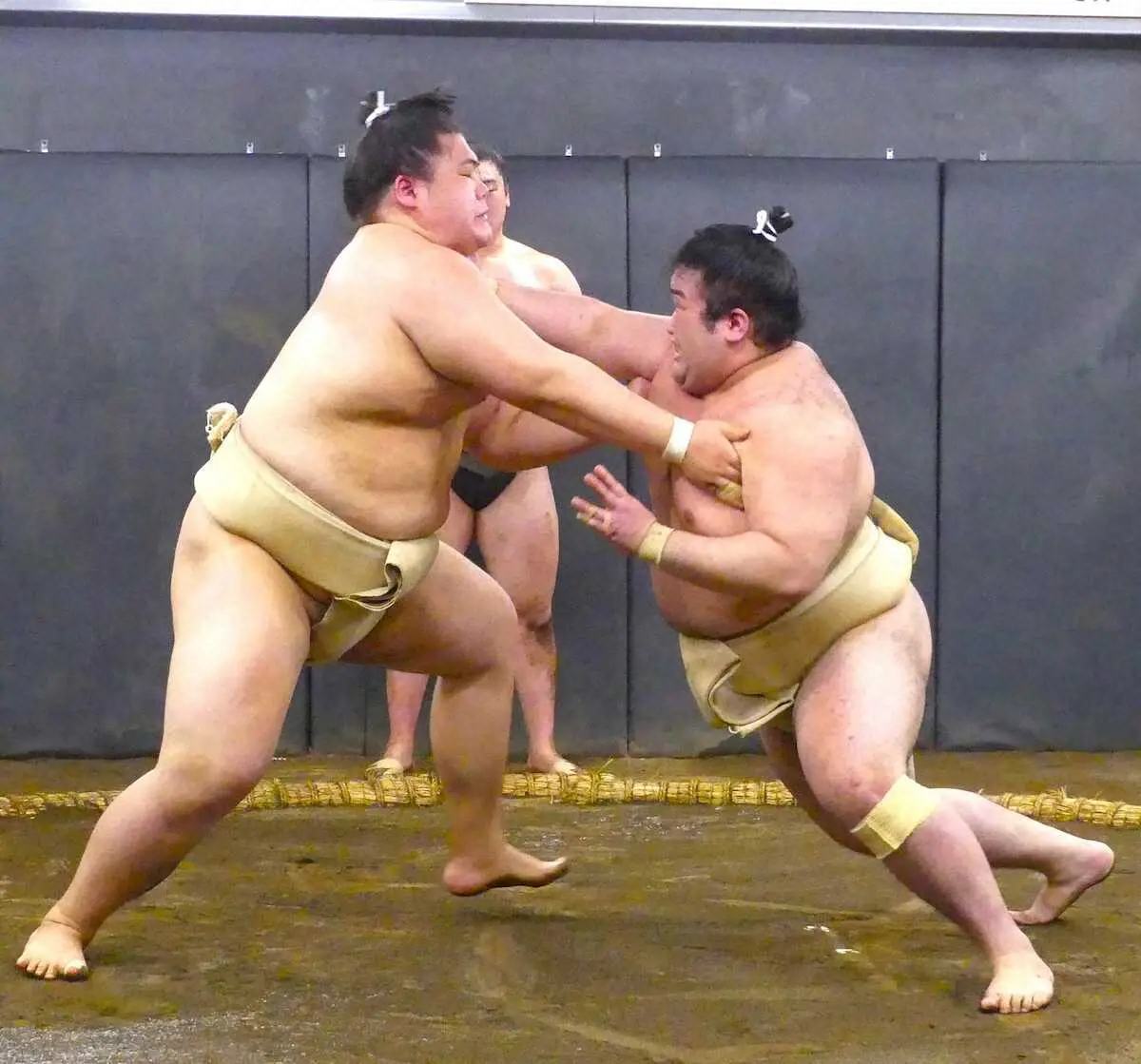 【画像・写真】新入幕確実の豪ノ山が王鵬に15戦全勝「幕内力士に自分の相撲で勝てるのは自信に」得意の突き押しで圧倒