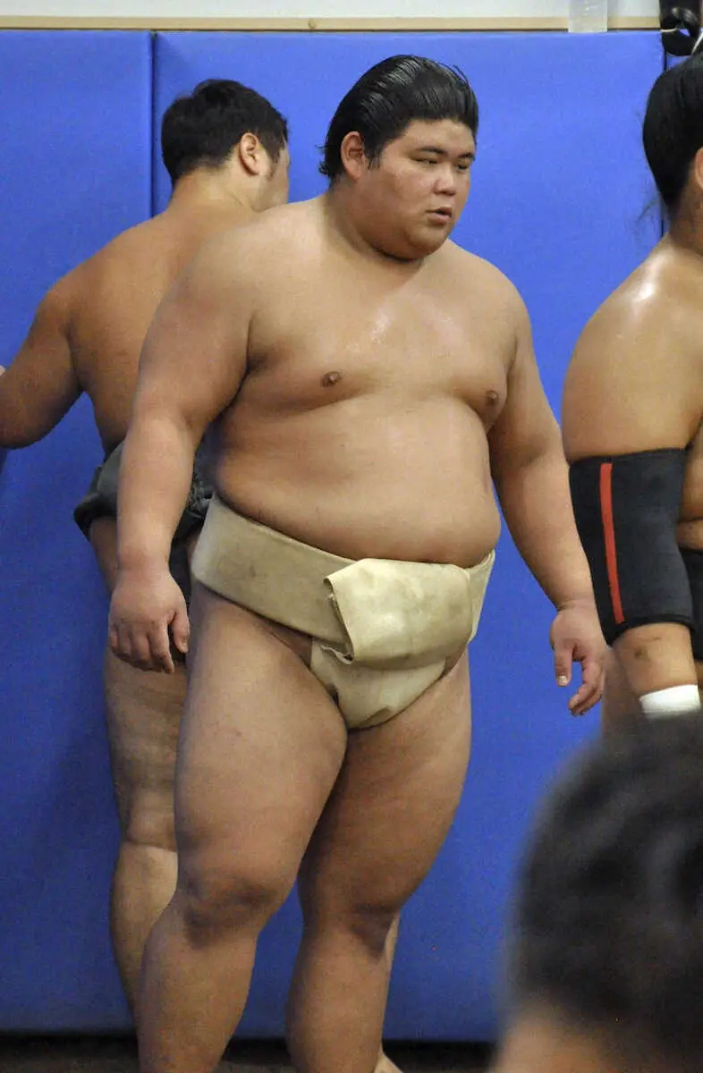 【画像・写真】伯桜鵬　左肩を考慮した調整　それでも「勝つ気しかない。最高の準備をする」
