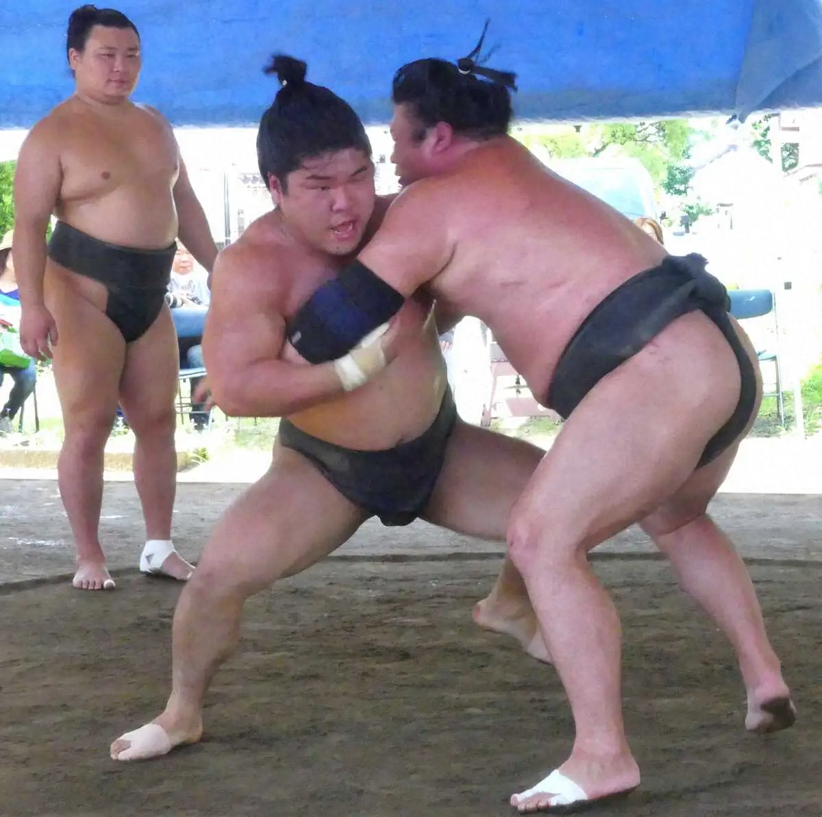 【画像・写真】幕下5枚目の石崎「あとは気持ちだけ」新十両昇進決める覚悟　兄弟子・朝乃山からも期待の声