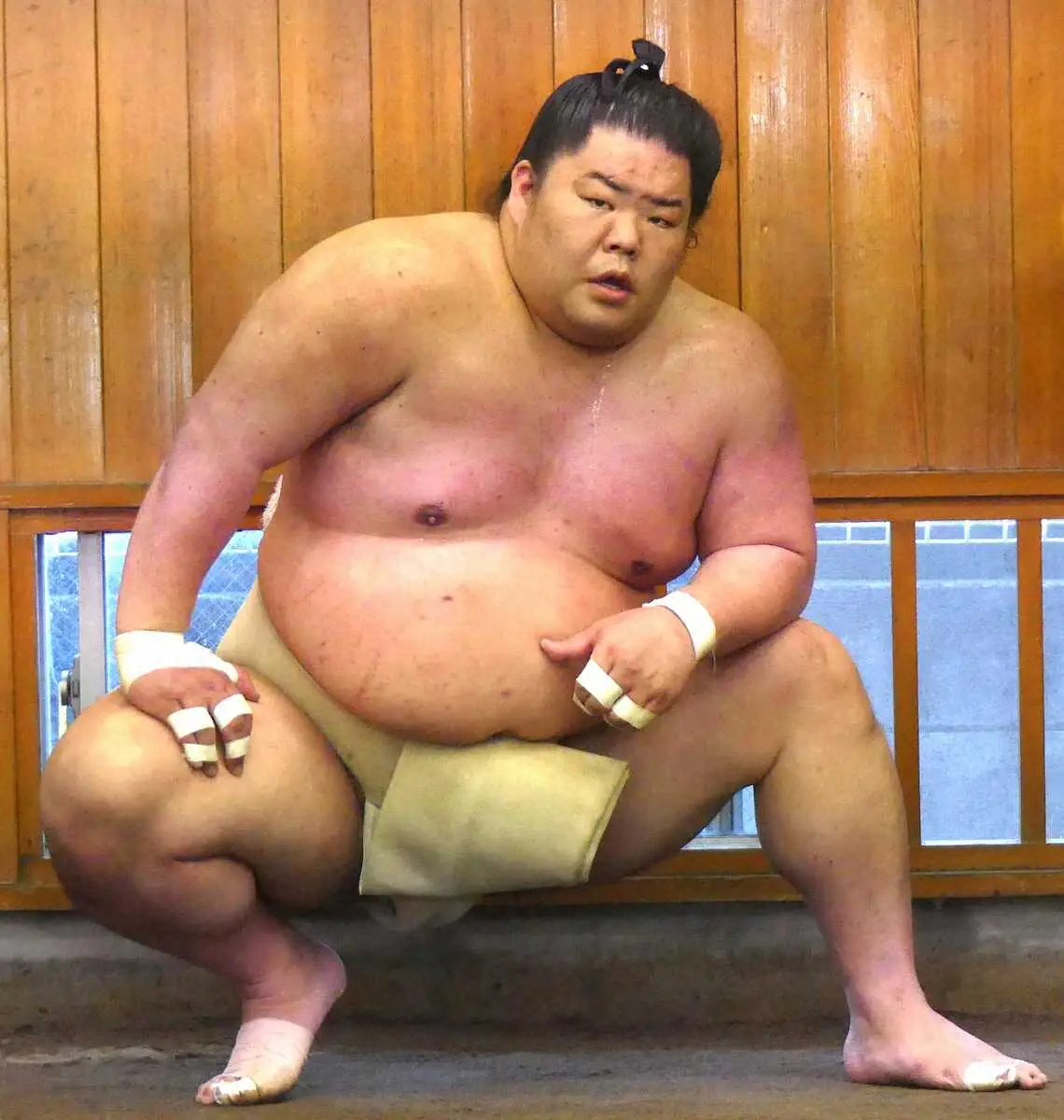 【画像・写真】大栄翔　名古屋場所中に肋骨骨折していた　13日目若元春戦で人生初の「激痛」