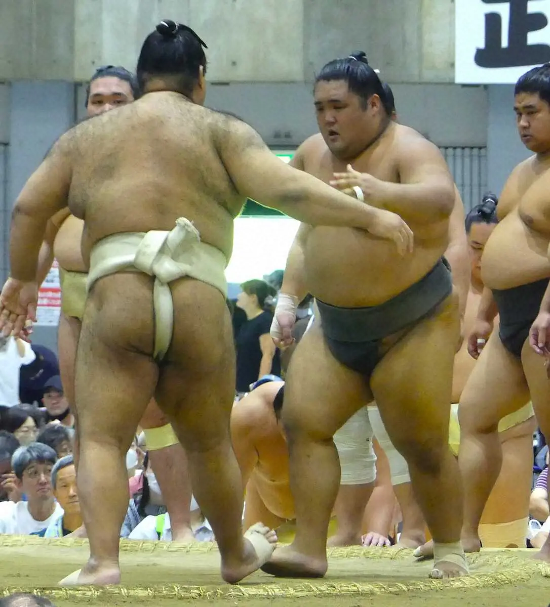 【画像・写真】【長岡巡業】新十両・向中野改め天照鵬が巡業初参加“2部練”ぶつかりで「良い稽古になっている」