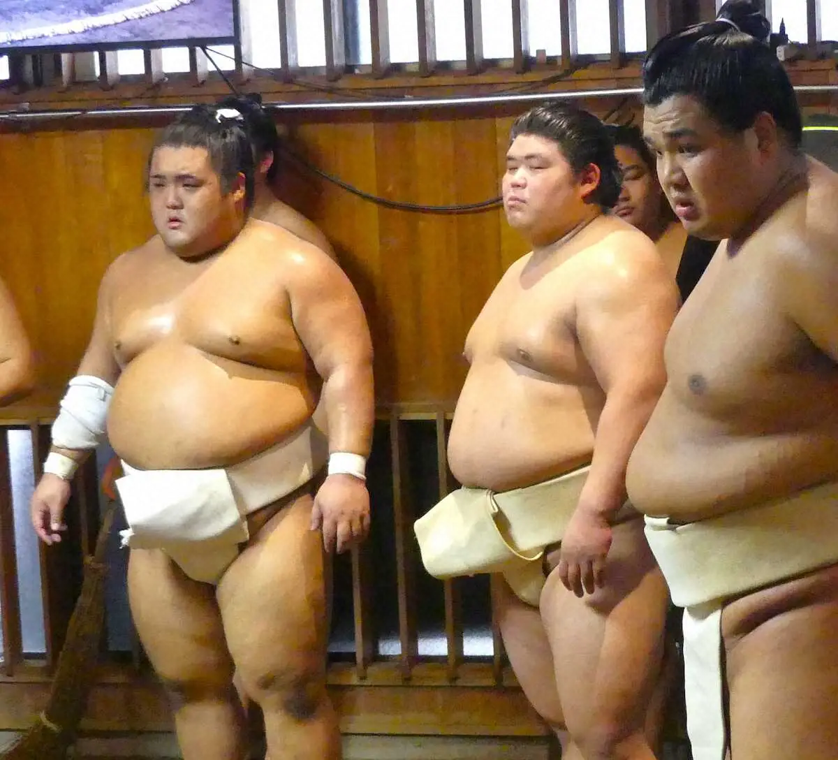 【画像・写真】向中野改め天照鵬が念願の白まわしで新十両昇進を実感「うれしかった」北青鵬らと申し合い14番