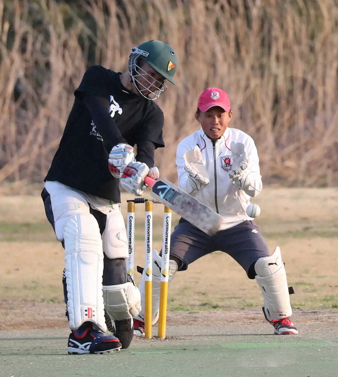 【画像・写真】128年ぶり目指す　クリケット　試合中にティータイムも　日本代表の中心は元プロ野球選手
