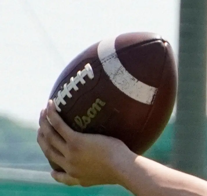 【画像・写真】関東学生アメフト連盟　異例、計時ミスを謝罪　立大逆転勝ち結果維持も「適切に判断していれば早大勝利」