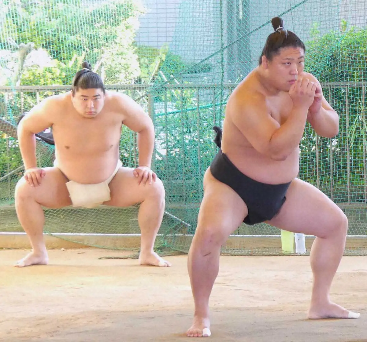 【画像・写真】若元春から復帰間近の弟・若隆景にエール「すぐ戻ってきますよ」兄弟三役の復活を待ち望む