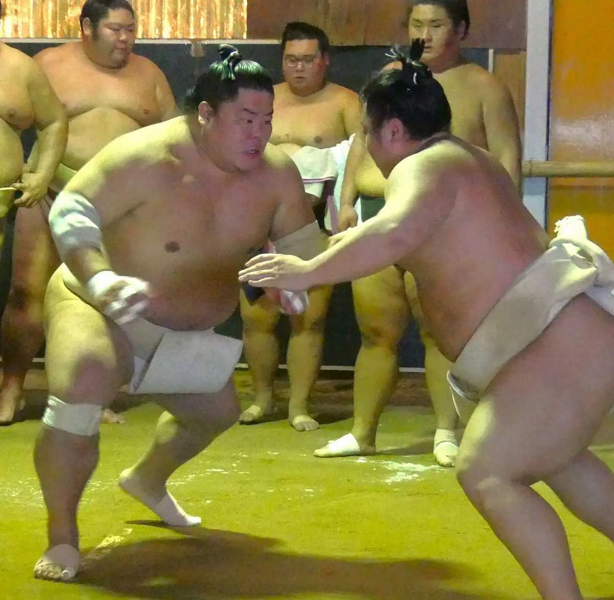 【画像・写真】大栄翔が充実の申し合い16番　大関昇進＆年間最多勝懸かる九州場所へ「一日一番、全部勝てるように」