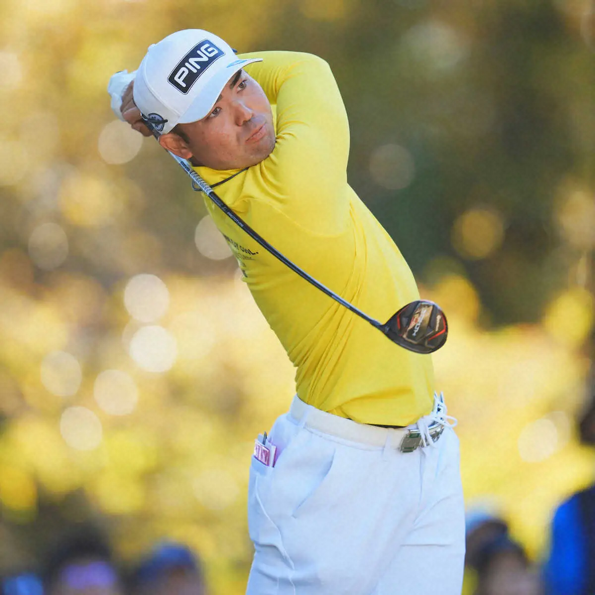 【画像・写真】蝉川泰果