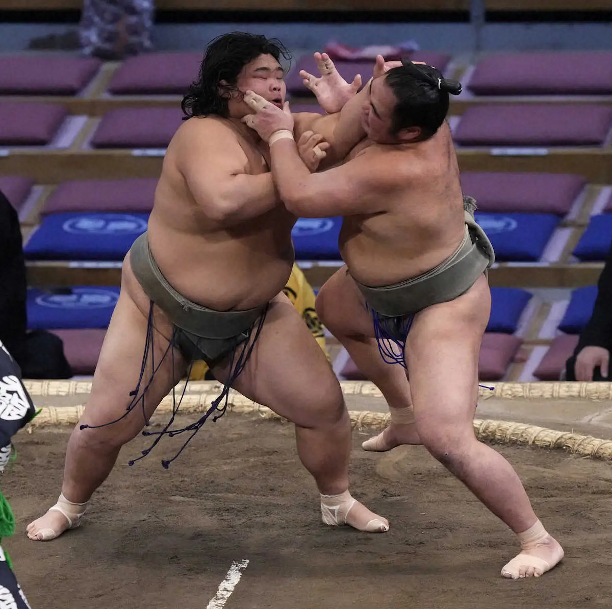 【画像・写真】新幕下・聖富士が6戦全勝！元幕内・北ハリ磨と優勝を懸けた大一番へ「リベンジしたい」