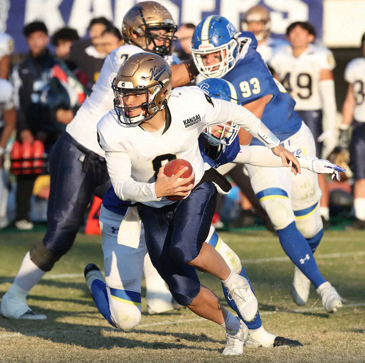 【画像・写真】アメフト関大　圧巻のパスオフェンスで関学大撃破　QB須田「来年は絶対、甲子園に行きます」