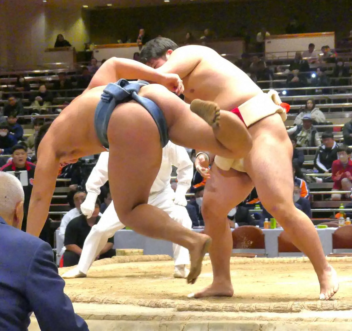 【画像・写真】【全日本相撲選手権】アマチュア横綱・池田俊「初めて日本一を獲れてうれしい」念願かなえ感慨