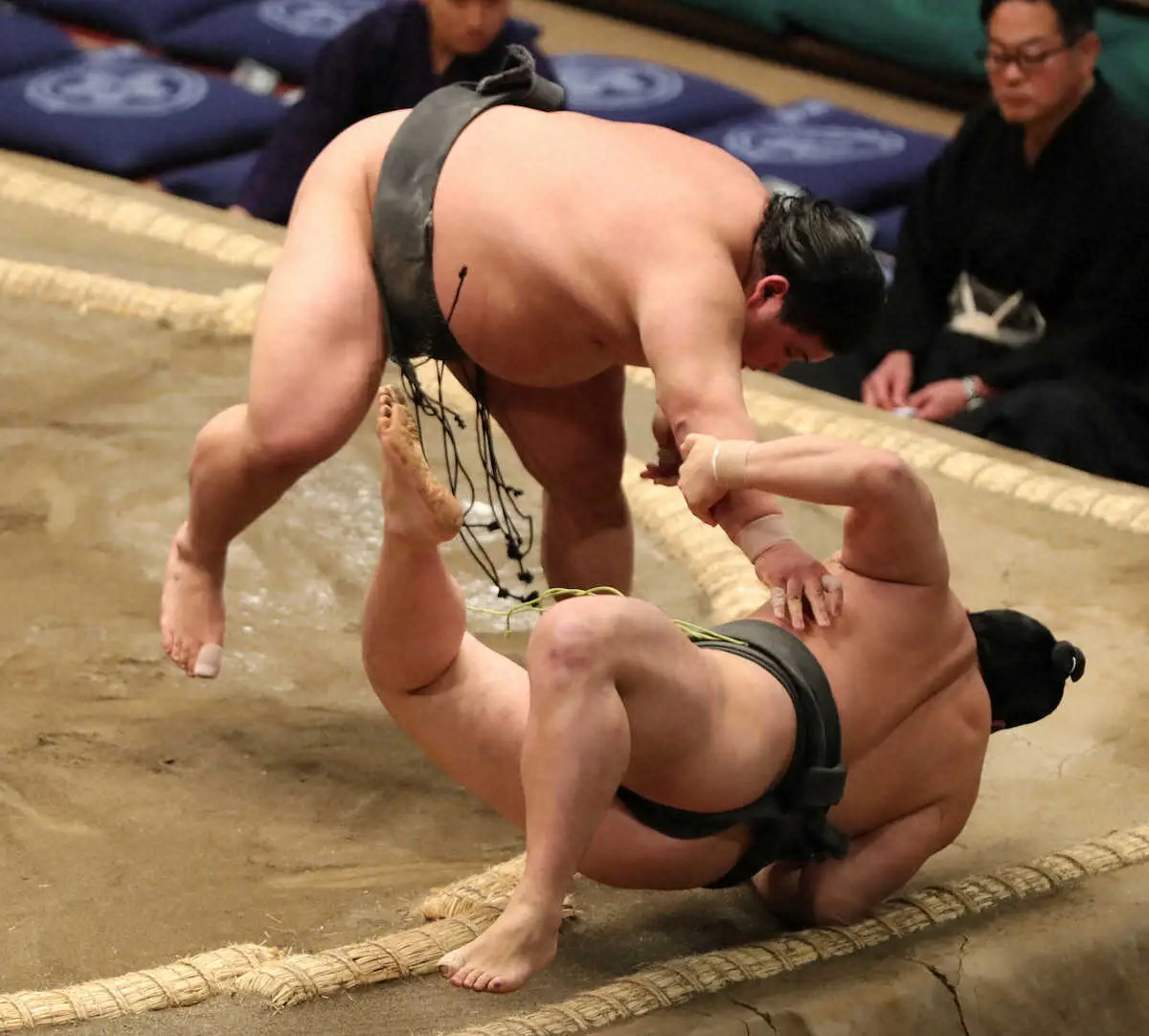 【画像・写真】伯桜鵬が復帰場所で勝ち越し　同学年の琴手計に辛勝「今後に生きる相撲を取らないと」連日の反省