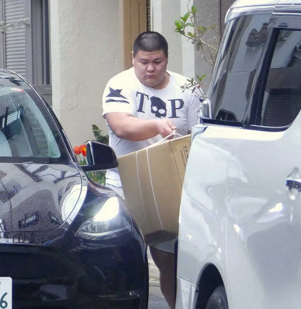 【画像・写真】学生横綱・草野　大学9冠の逸材が伊勢ケ浜部屋入門決定