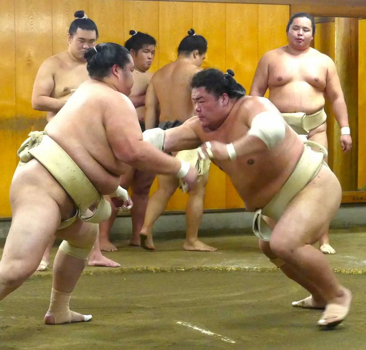 【画像・写真】大栄翔が連日の出稽古で琴櫻らと14番「初日から気合入れていかないと」横綱大関戦続く序盤へ闘志