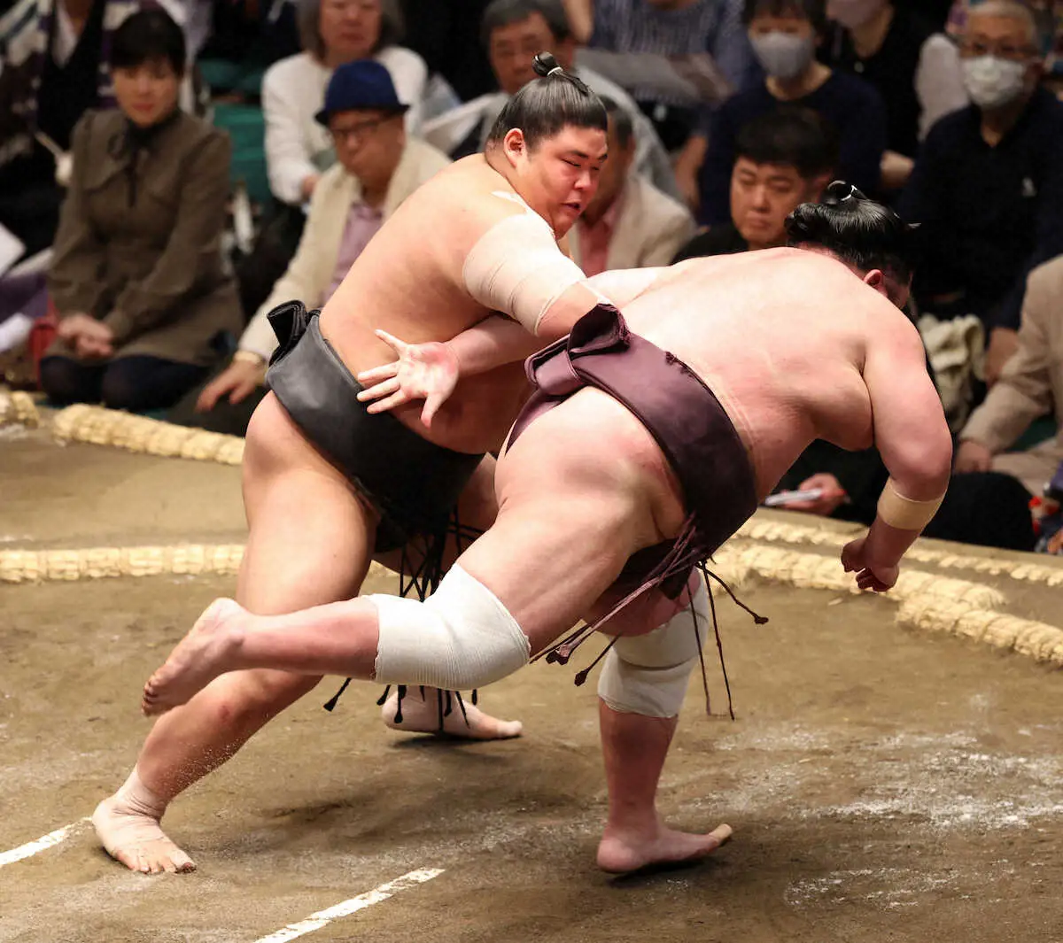 【画像・写真】伯桜鵬が連敗止め2勝目　負傷した右腕で小手投げ「土俵に上がっている以上、痛みは感じない」