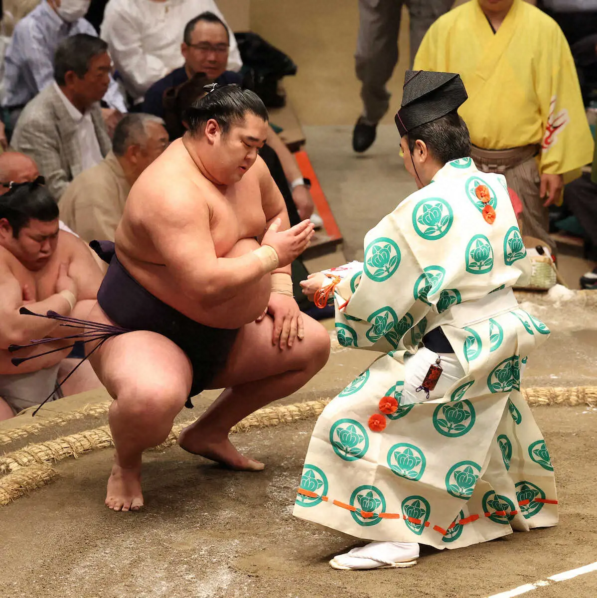 【画像・写真】【二所ノ関親方　真眼】今場所一番　湘南乃海の成長感じさせる勝利