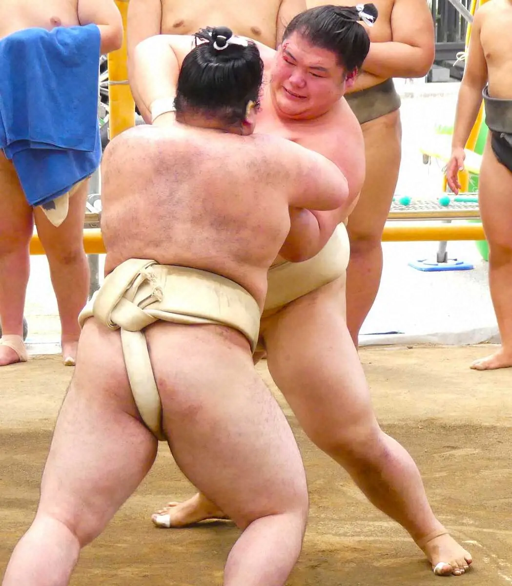 【画像・写真】王鵬が佐渡ケ嶽部屋出稽古で10番「見ていても凄く勉強になる」埼玉栄の先輩から突き押しを学ぶ