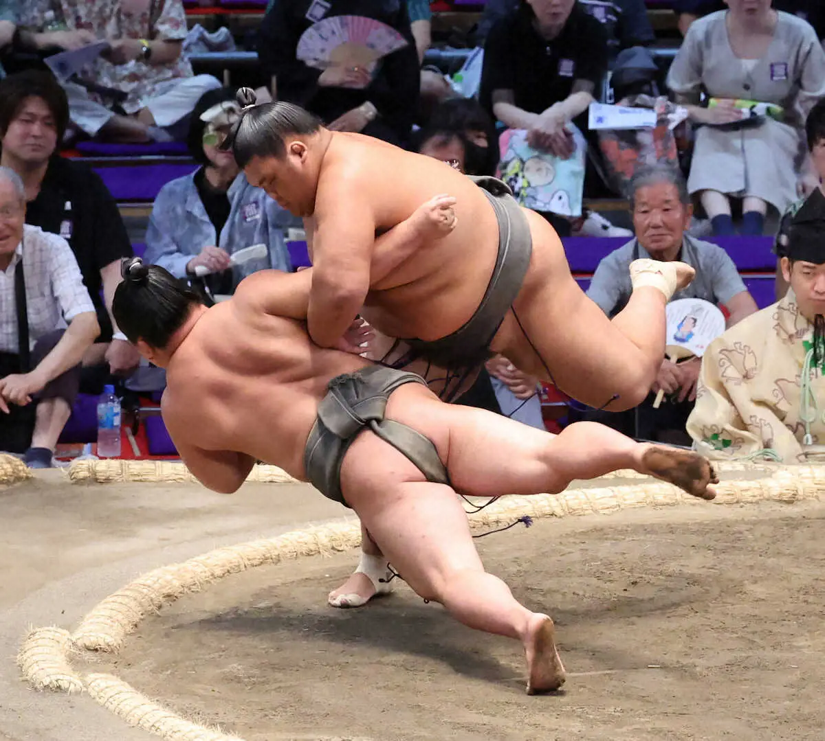 【画像・写真】幕下6枚目の聖富士が3連勝！ライバル・若碇と念願の対戦で勝利も「圧倒して勝ちたかった」