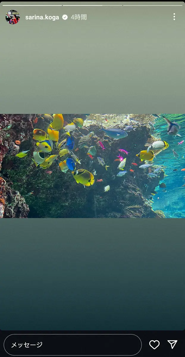 【画像・写真】古賀紗理那さん　現役生活終えて休暇中？　浮き輪でプール満喫「どんくさりなw」