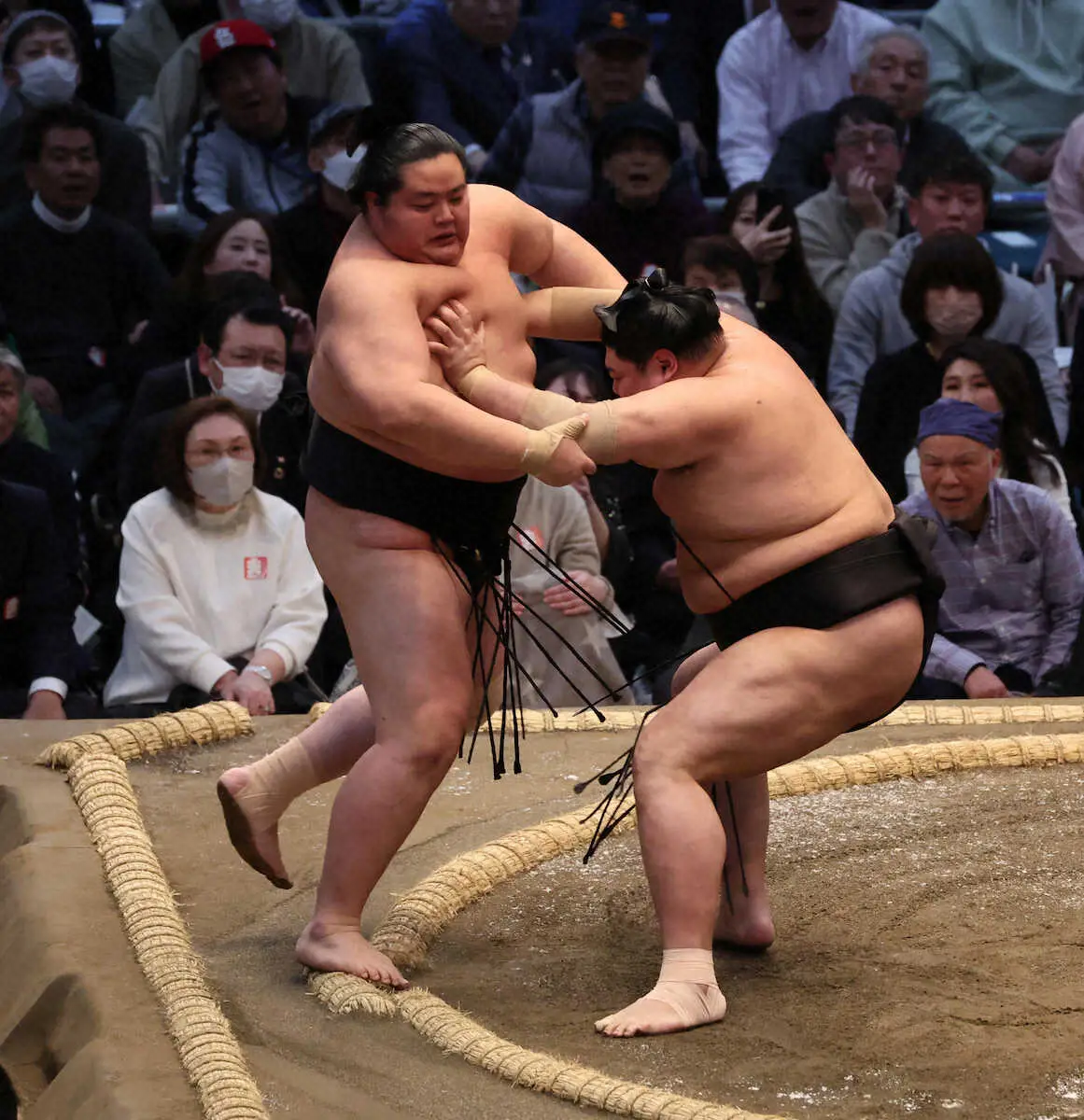 【画像・写真】【玉ノ井親方　視点】状態良さそうだった琴桜が2敗目…序盤つまずきの原因は精神面だろう