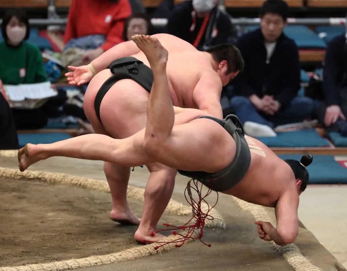 【画像・写真】藤島部屋の幕下付け出しコンビ明暗　福崎5戦5勝「体が動いてくれた」　五島はプロ初黒星「思うような…」