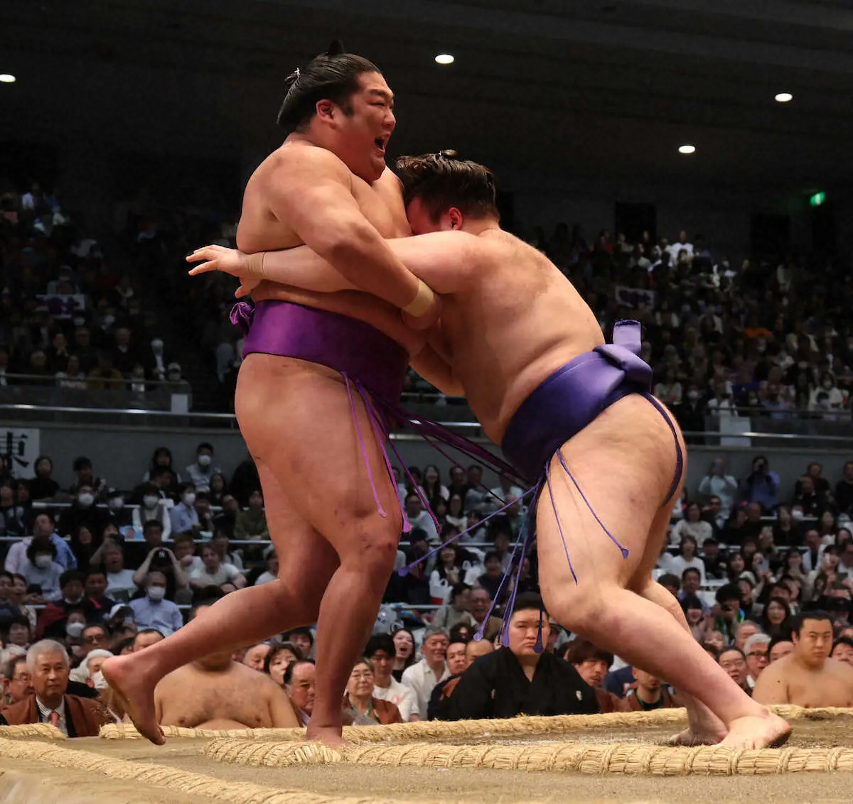 【画像・写真】＜春場所14日目＞尊富士（左）を寄り切り4敗を守った安青錦（撮影・長嶋　久樹）
