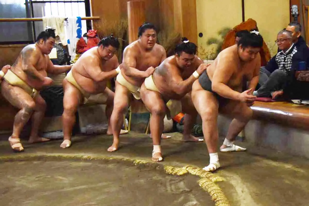 【画像・写真】境川部屋に2関脇、1小結が集結　大栄翔、若隆景らが熱い稽古を展開