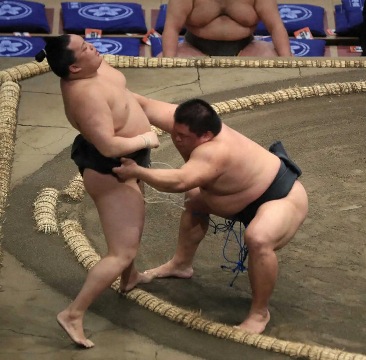 【画像・写真】幕下付け出しの行徳が4連勝で勝ち越し　「今までと違う展開になったけど…」　拓大出身も学生相撲未経験