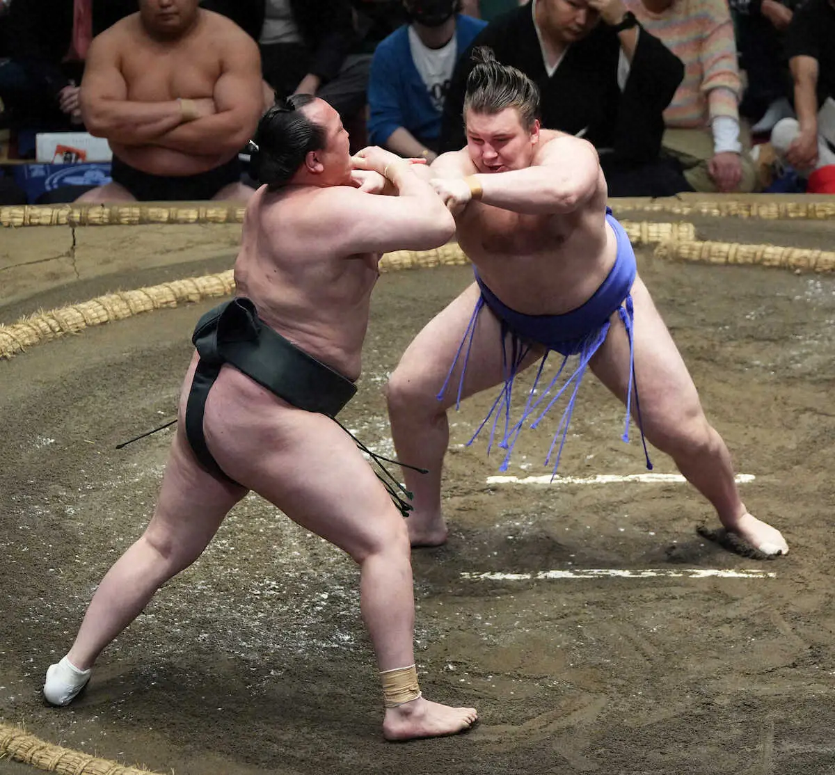 【画像・写真】千代翔馬（左）を攻める安青錦（撮影・郡司　修