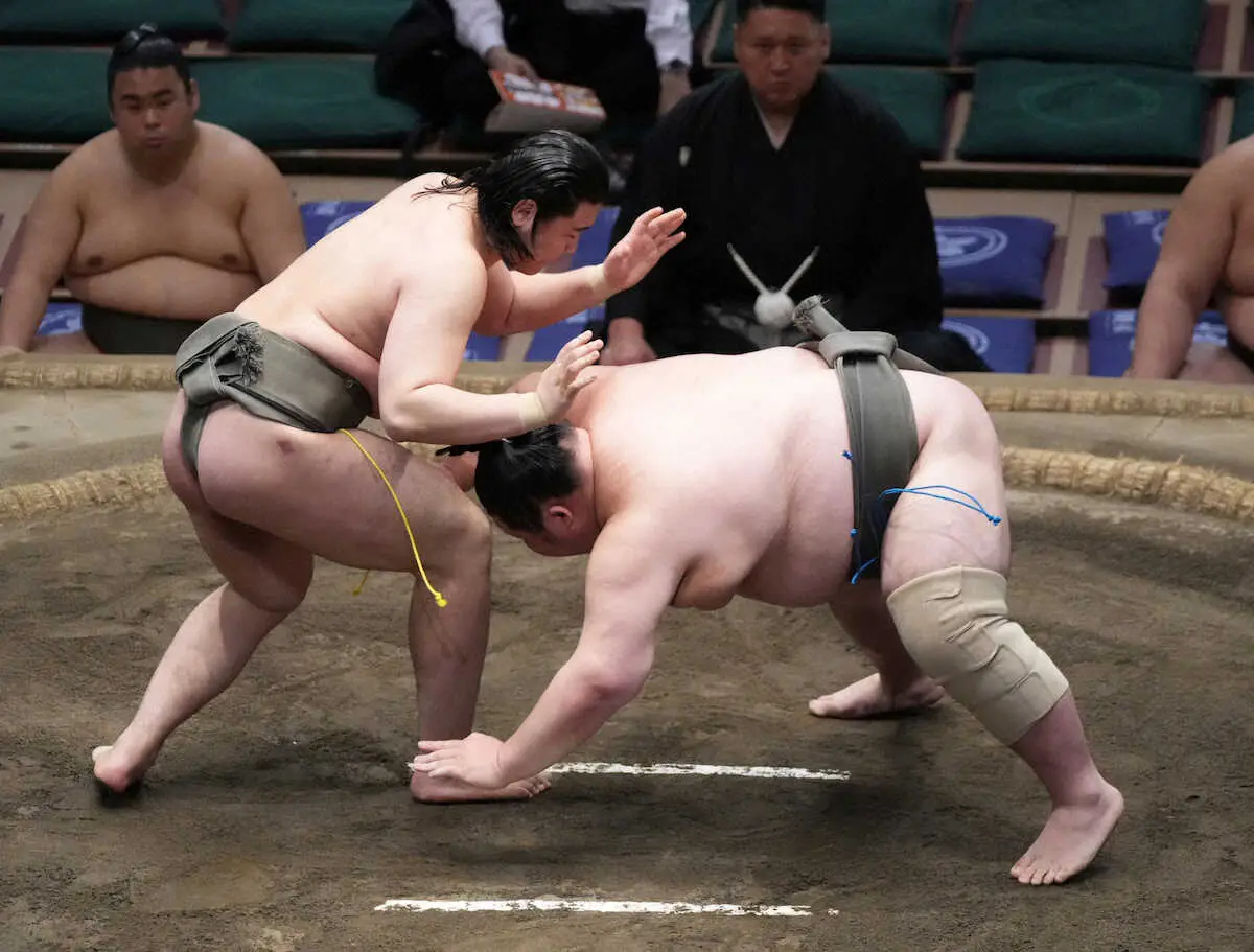 【画像・写真】豊昇龍のいとこ・天狼星が7戦全勝「あまり押されることがなくなった」　千秋楽で同部屋の峰刃と対戦へ
