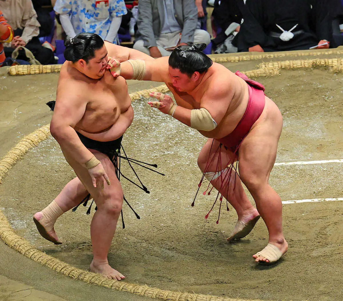 【画像・写真】大栄翔が大関・琴桜を圧倒し10勝目 「来場所へつなげてしっかりやる」
