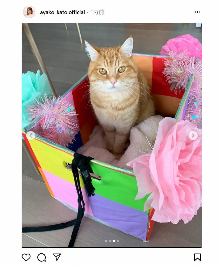【画像・写真】加藤綾子のインスタグラム（@ayako_kato.official）より