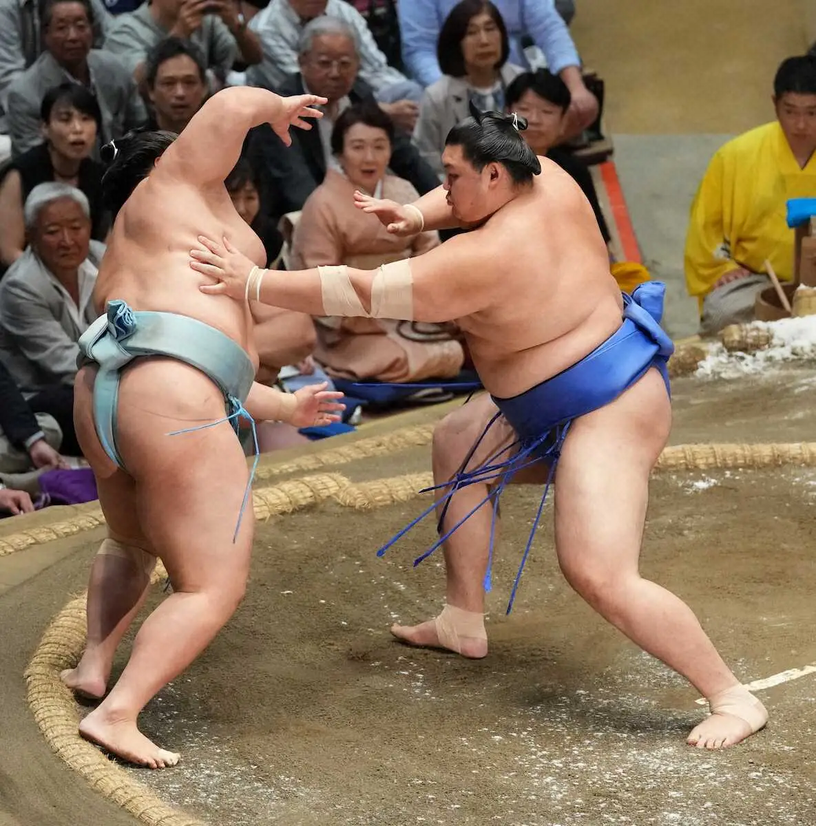 【画像・写真】【玉ノ井親方　視点】大の里は日に日に体が大きく見えてくる　このまま後半戦の土俵を引っ張って