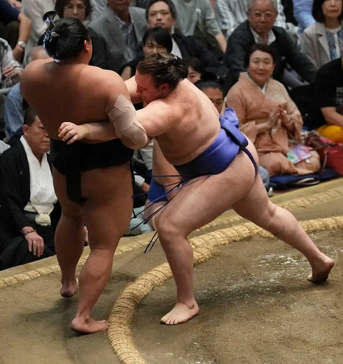 【画像・写真】新小結・安青錦「目指すところじゃない」　12場所連続勝ち越し　6連勝で2敗キープ「盛り上げられたら」