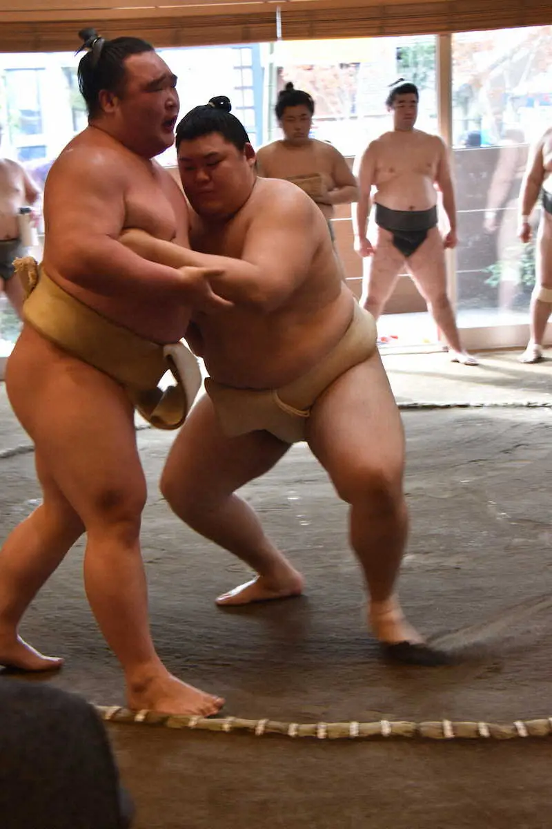 【画像・写真】大の里が連合以来の実戦稽古　白熊との三番稽古で11戦全勝「土俵をうまく使えた」