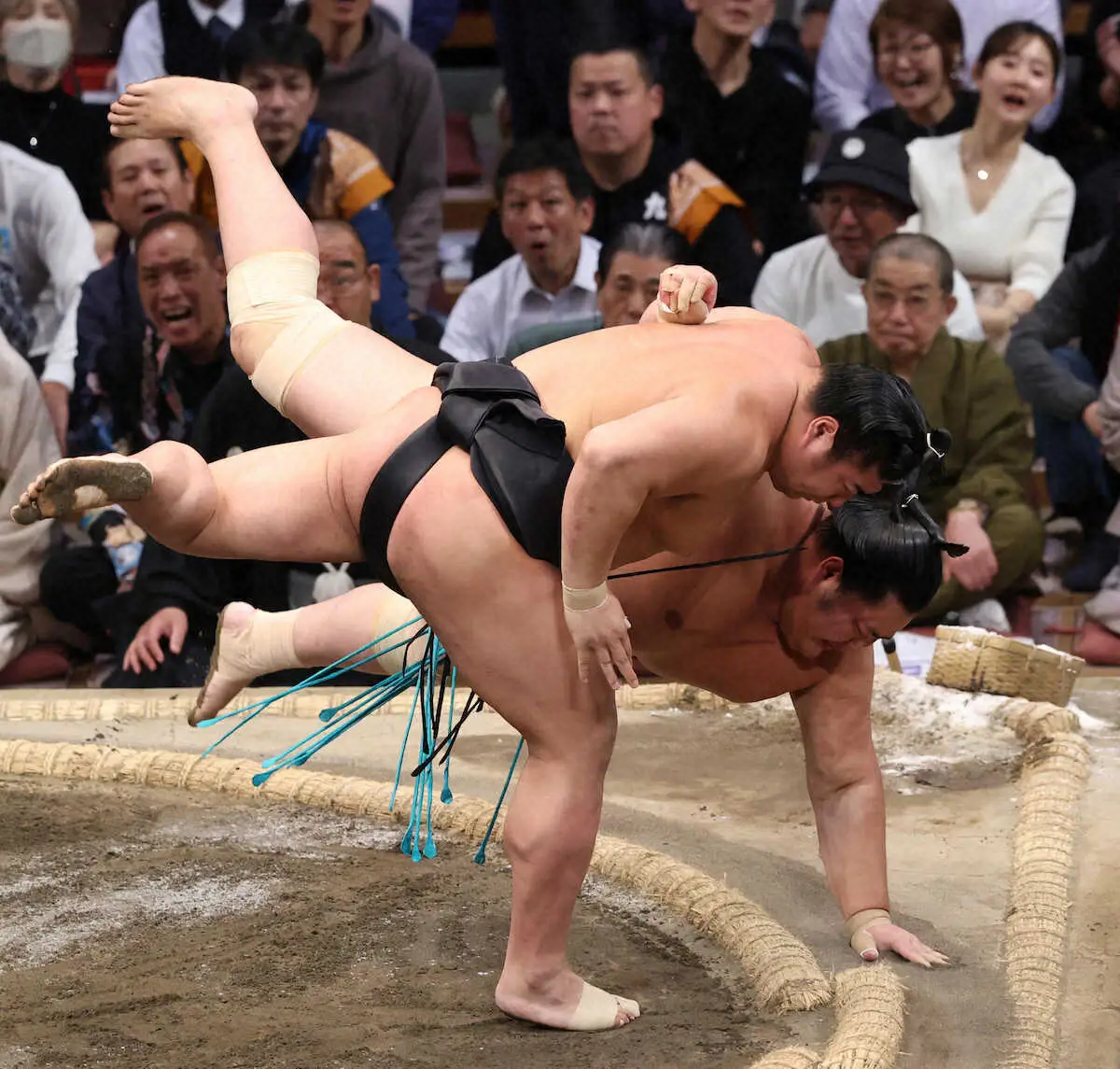 【画像・写真】大の里が7連勝で唯一全勝キープ　琴桜はまさかの3連敗…　安青錦が1敗キープ、豊昇龍も5勝で猛追