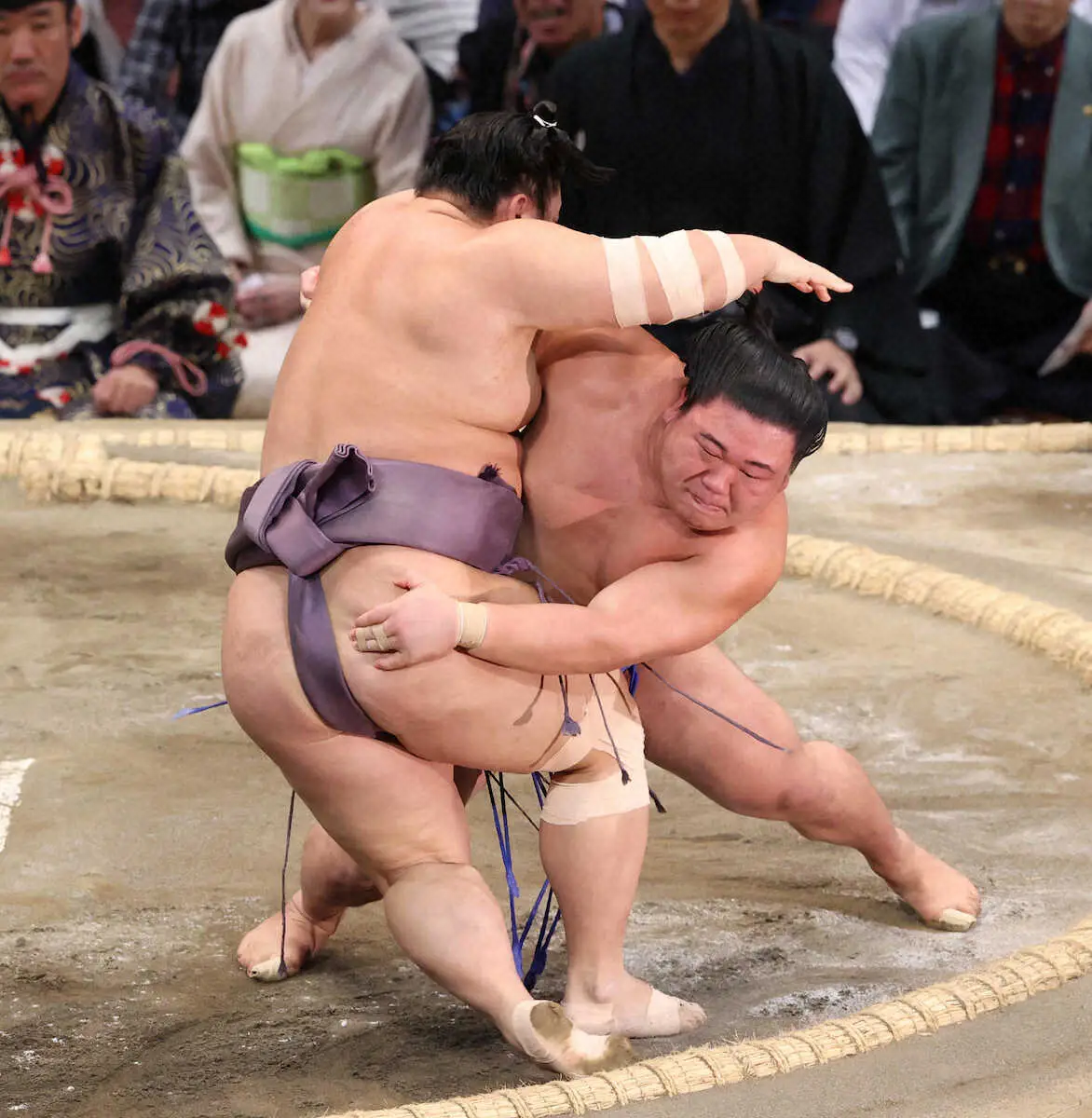 【画像・写真】【玉ノ井親方　視点】藤ノ川　体格差補う速さと切れ　前に出て動き回る相撲貫いて