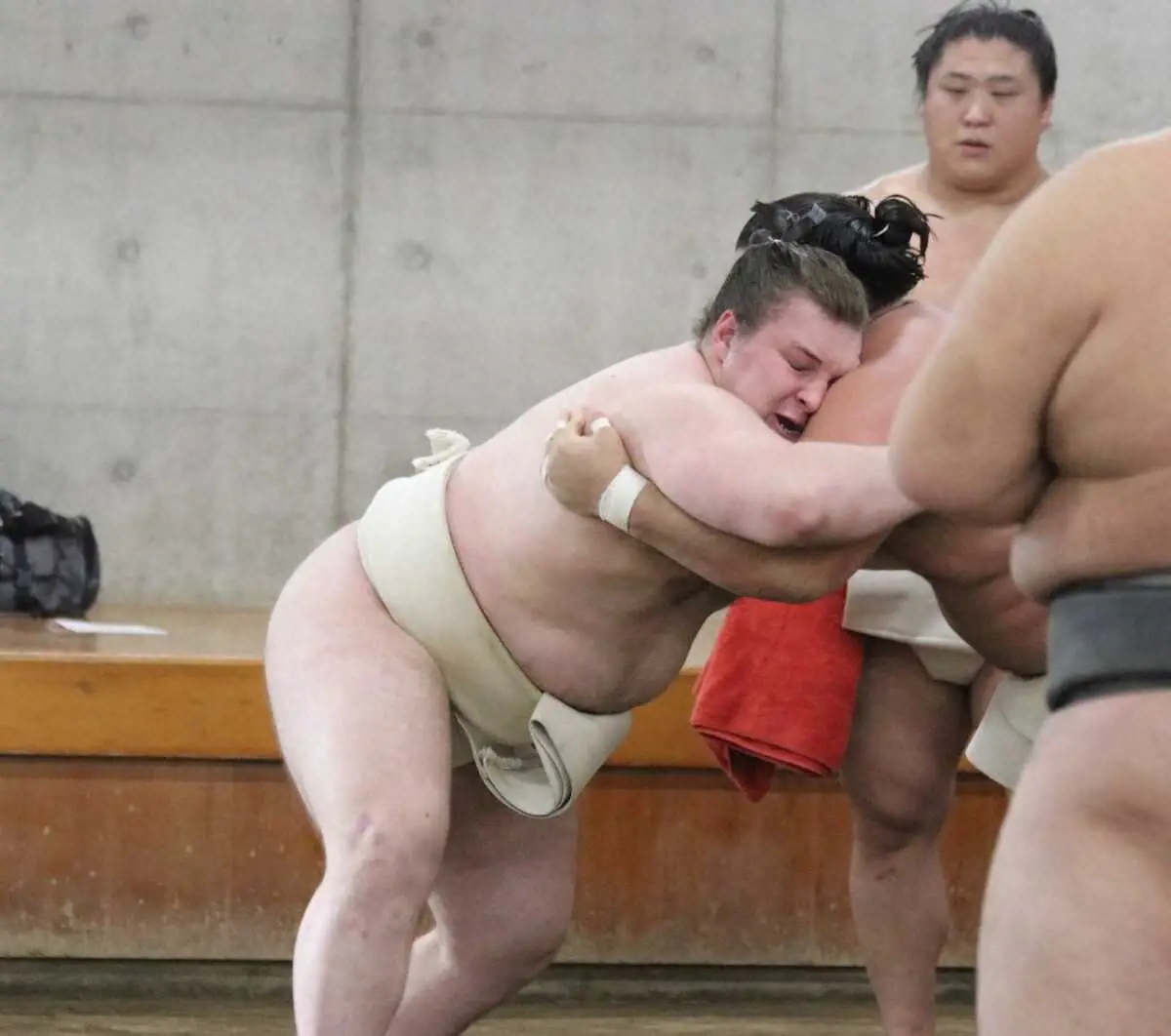 【画像・写真】新大関・安青錦「10番ぐらい取りたかった」　時津風一門の連合稽古で関脇・霧島、小結・若元春と7番5勝