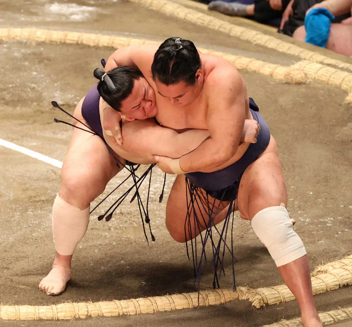【画像・写真】【玉ノ井親方　視点】自分の相撲に徹する義ノ富士、横綱の反撃に慌てず対応