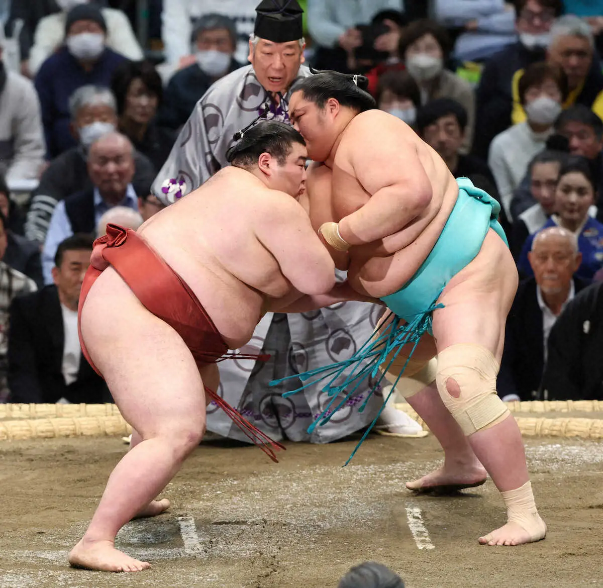 【画像・写真】綱獲りの大関・安青錦は崖っ縁の3敗目　横綱・豊昇龍は1敗死守　全勝消え、1敗7人の大混戦