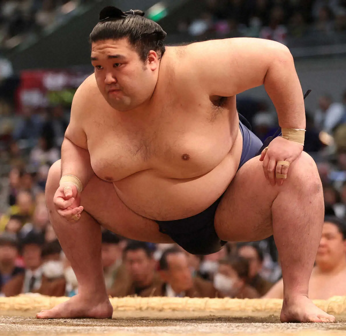 【画像・写真】豪ノ山が宇良との寝屋川対決を制して1敗キープ　NHKゲストの岡田彰布氏「恩返しって言うの？」