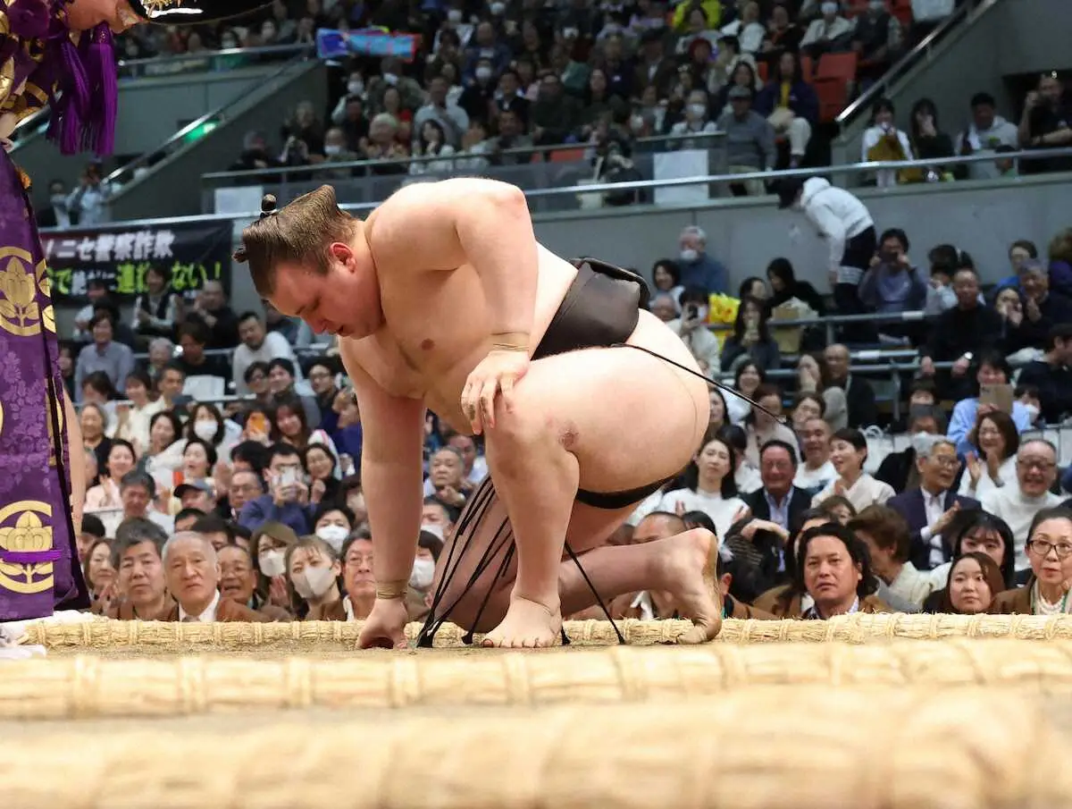 【画像・写真】＜大相撲春場所千秋楽＞豊昇龍に敗れた安青錦（撮影・亀井　直樹）